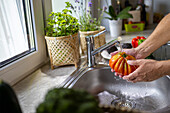 Anonymer Mann beim Waschen von Tomaten mit Wasserstrahl aus dem Wasserhahn in der Küchenspüle während des Kochens im unscharfen Hintergrund