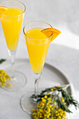 Glass of mimosa cocktail on stone background in sunny day