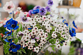 Verschiedene frische bunte Blumen in einer Reihe auf einem alten Tisch in einem Blumenladen