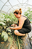 Side view of plump female gardener browsing on tablet squatting against plantation with lush leaves in greenhouse