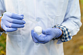 Crop anonymous specialist in gloves demonstrating plastic bottle with white cannabis medicine while standing near hemp bushes in hothouse in pharmaceutical laboratory