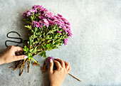 Autumnal purple Chrysanthemum flowers in woman hands on concrete background