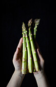 Crop anonymous hands of person showing bunch of fresh green asparagus against black background
