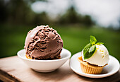 Appetizing chocolate and vanilla gelato scoops with mint leaves on shortbread baskets in bowls