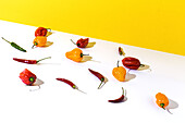 High angle of different types of fresh ripe peppers placed in rows and casting shadows on two colored background