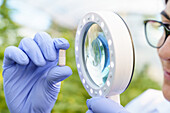 Crop anonymous scientist wearing protective gloves checking while herbal medical pill with magnifier in greenhouse in pharmaceutical laboratory