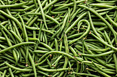 Top view full frame of heap of long fresh green runner beans placed together