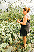 Side view of plump female gardener browsing on tablet standing against plantation with lush leaves in greenhouse