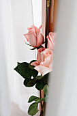 Pink roses bouquet inside hanging on wooden door