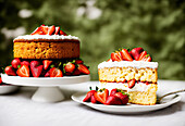 Yummy biscuit cake decorated with fresh strawberries placed on white ceramic plate against green background