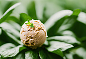 Süße Vanilleeiskugel mit Minzblättern auf grüner, unscharfer Pflanze