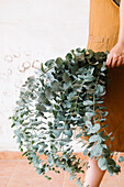 Crop unrecognizable florist demonstrating lush bunch of fresh aromatic Eucalyptus sprigs against white background