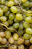 Top view full frame of brunch of fresh yellow and green grapes as background