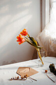 Blühende Tulpen in Wasser auf weißem Tischtuch neben geöffnetem Umschlag und Fenster
