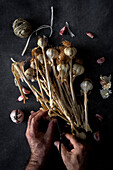 From above cropped unrecognizable person hands arranging bouquet of fresh purple garlic cloves placed in dark background