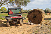Agricultural small vehicle near haystack harvested in field for in farm in countryside in sunny day