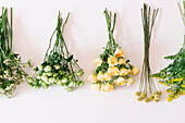 Top view bunches of fresh roses billy buttons and Arabian jasmine flowers arranged on white table in studio in daylight