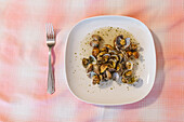 Top view of delicious clams in shells served on white table placed on tablecloth with fork in light kitchen at home