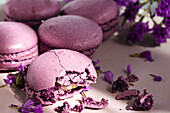 Bunch of delicious violet macaroons served on plate near delicate flowers on sunlit table