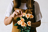 Anonymous adult Hispanic female florist with dark hair in apron arranging bouquet of assorted gentle fresh flowers against white background