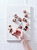 Crop person opening walnuts with a cracker on white background