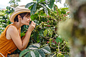 Seitenansicht einer reizenden Bäuerin mit Hut, die an einem sonnigen Tag den Duft von Beeren an grünen Kaffeepflanzen einatmet