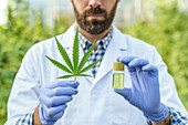Crop bearded male specialist in white robe and gloves demonstrating bottle with cannabis medicine and green hemp leaf while standing in greenhouse