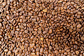 Top view of full frame monochrome textured background of roasted scattered brown coffee grains