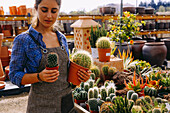 Anonymous person in apron and checkered shirt demonstrating pot with green succulent to camera while working in greenhouse