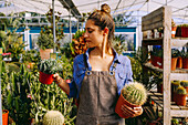 Anonymous person in apron and checkered shirt demonstrating pot with green succulent to camera while working in greenhouse