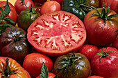 High angle of sliced tomato among ripe whole red tomatoes with water drops
