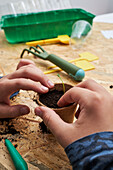Crop anonymous kid planting seedling in cardboard cup with ground at table with gardening shovel