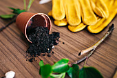 Table with gardening gloves and spilled soil from small flowerpot among tools and green twigs