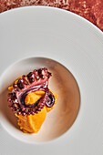 Top view grilled delicious octopus tentacle with mashed potatoes served on white ceramic plate placed on table