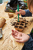 From above of crop anonymous kid demonstrating seeds over biodegradable container with soil on table