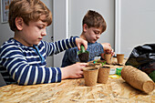 Siblings planting seedling in cardboard cup with ground at table with gardening shovel