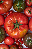 From above of appetizing fresh ripe tomatoes with drops of water near branch with green leaves