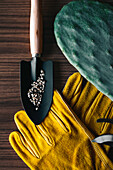 Top view of colorful gardening gloves on wooden table with small shovel of tiny gravel in daylight