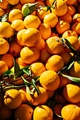 Full frame pile of fresh tangerines with green leaves placed on stall in local market with bright sunlight on summer day