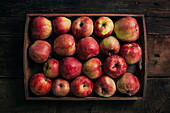 Fresh red apples on dark background