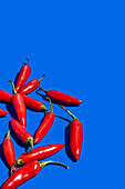 Top view composition with red fresh exotic peppers used as spice or condiment to flavor food on blue background