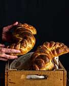 Faceless person holding freshly baked bread braids challah with poppy seeds in wooden crate box on black background