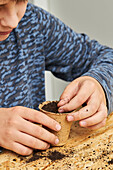 Crop anonymous kid planting seedling in cardboard cup with ground at table with gardening shovel