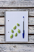 Blick von oben auf rohe grüne Bohnen und Stift auf Notizblock auf Holztisch gelegt