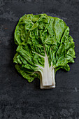 From above of bunch of chard placed on black shabby background in studio