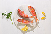 Draufsicht auf rohen Fisch auf einem Teller mit Petersilie und Zitronenscheiben auf weißem Hintergrund