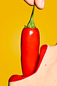 Crop anonymous woman mouth with red lipstick eating ripe chili pepper with pungent taste against yellow background