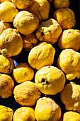 From above full frame background heap of tasty ripe yellow quince fruit stacked together under bright sunlight in local market