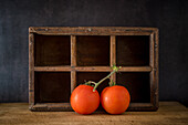 Branch of fresh tomatoes placed on wooden table on dark background in studio