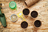 Top view of cardboard cups with seedlings growing in soil against fertilizer and gardening trowel on table